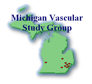 Michigan VSG logo